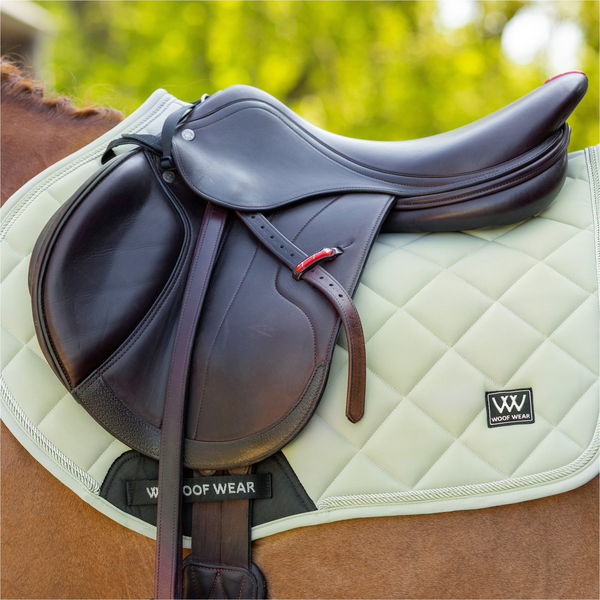 2025 Woof Wear Vision Aura Contact Rapproché Tapis De Selle WS0042-SAGE - Sage Green